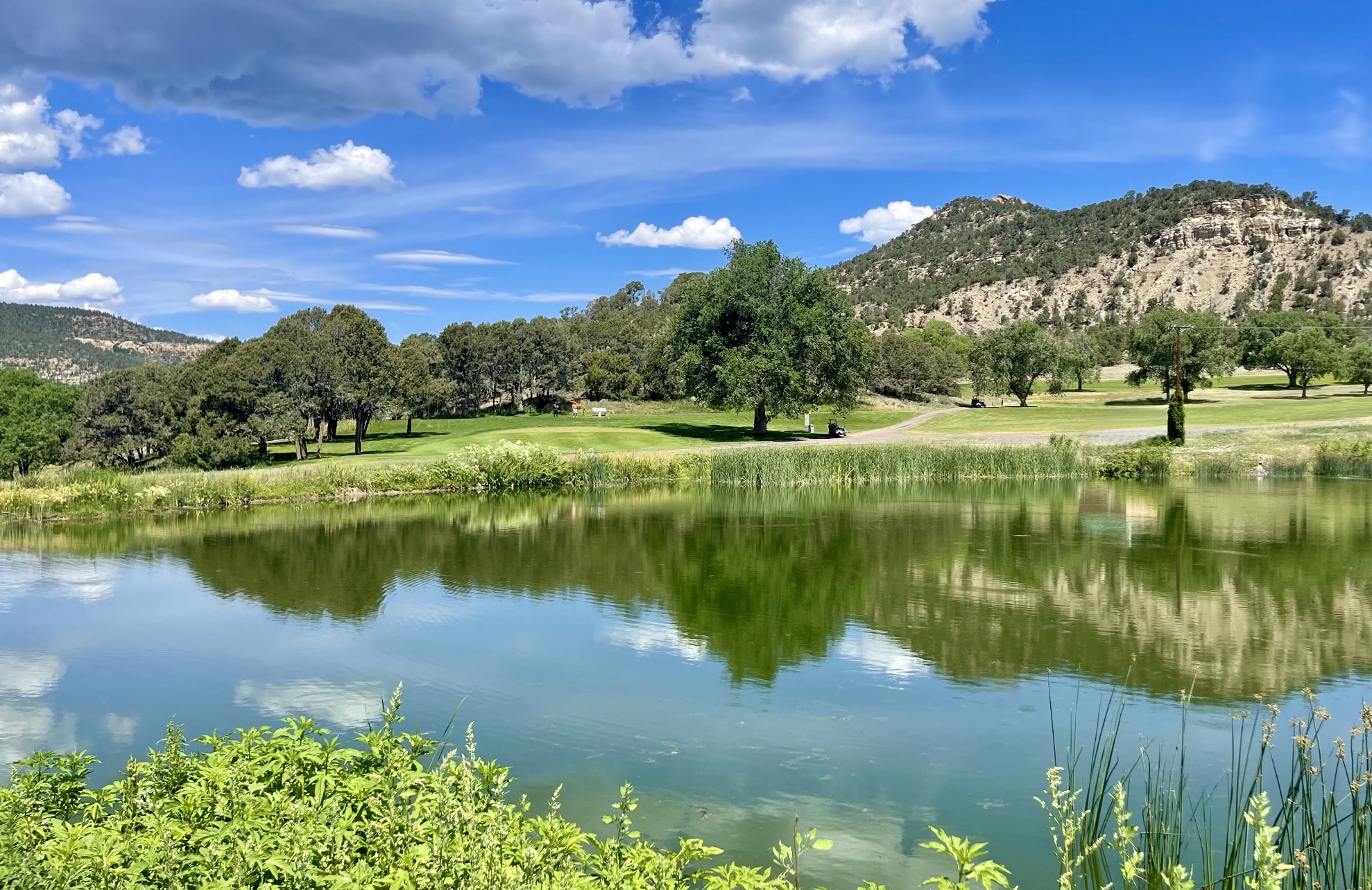 Pond on golf course 
