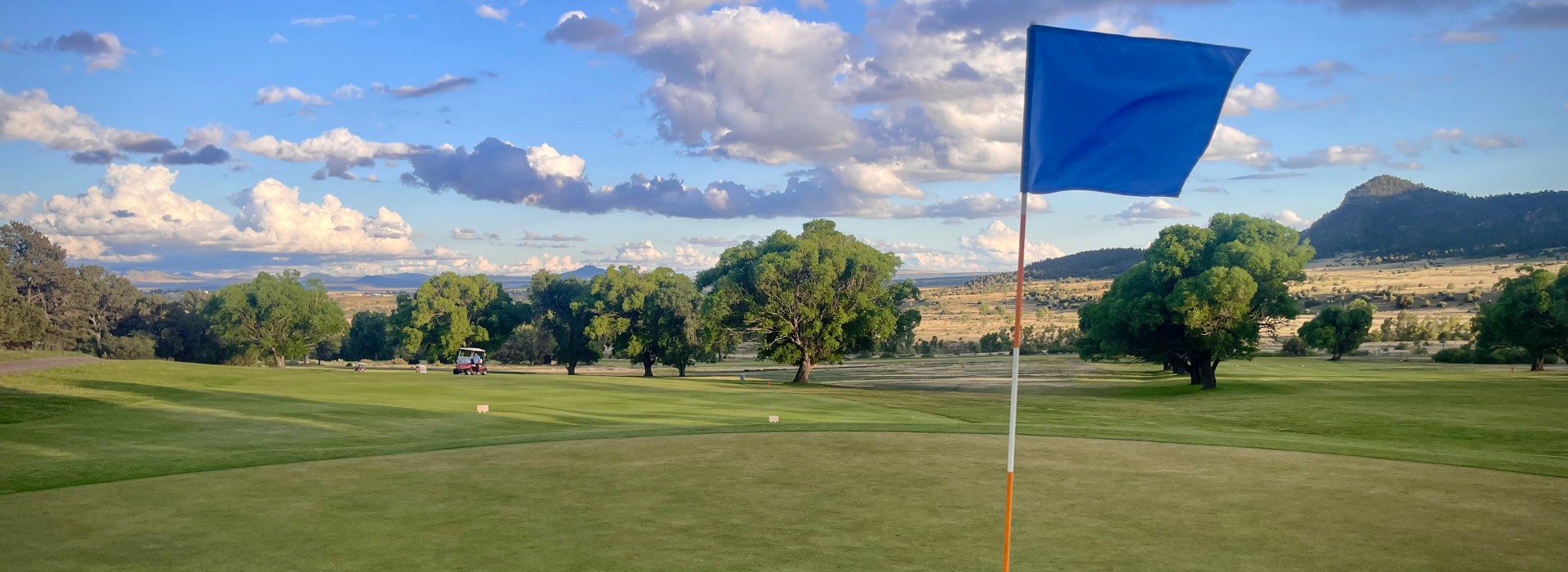 Blue flag on golf course